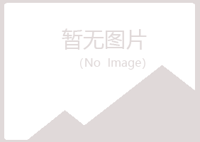 偃师白山工程有限公司